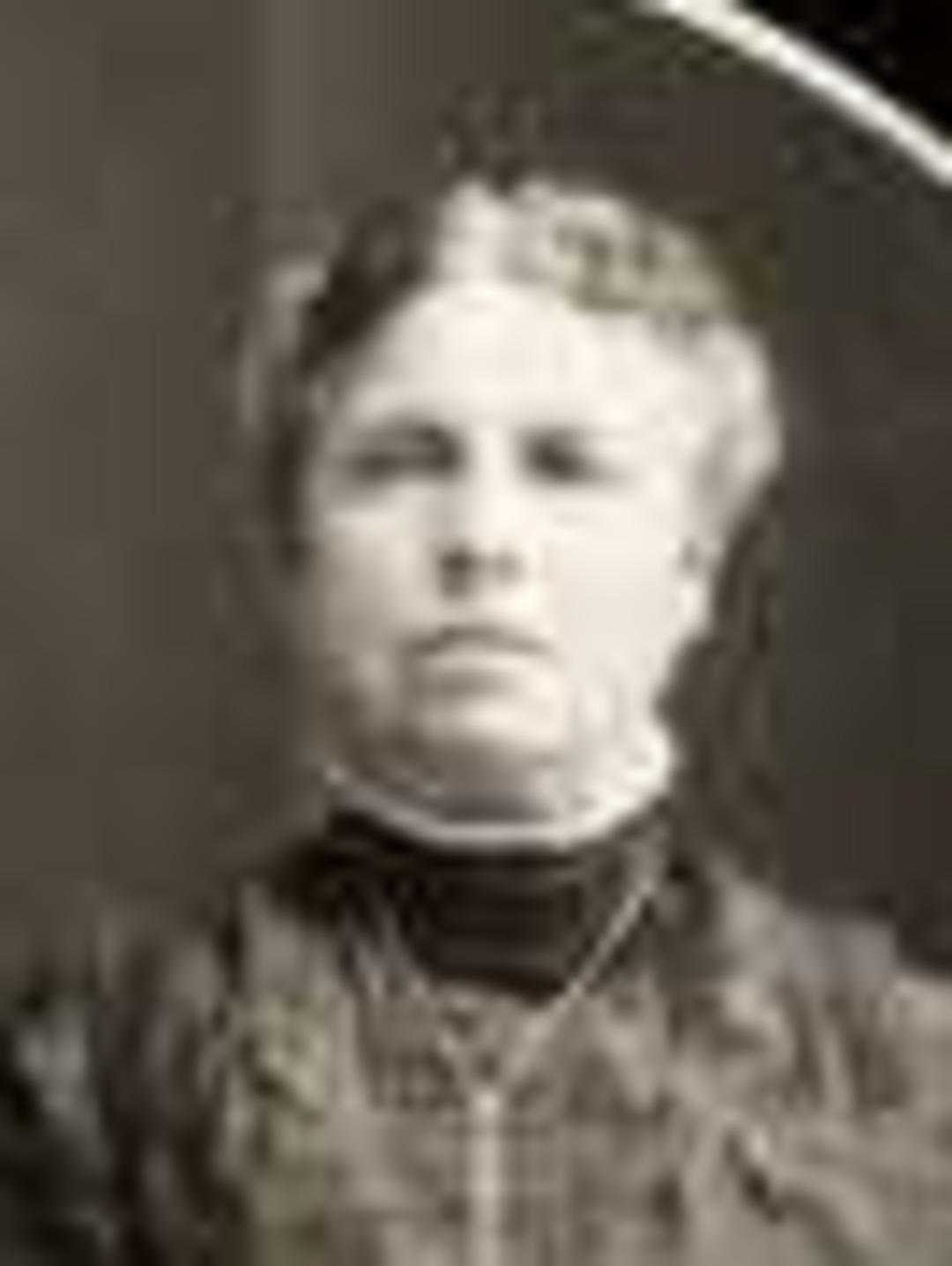 Lydia Flint (1846 - 1926) Profile